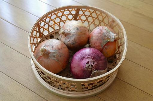 家庭菜園で収穫した玉ねぎ・赤玉ねぎ2 家庭菜園で収穫した玉ねぎ・赤玉ねぎ2 収穫,家庭菜園,野菜の写真素材