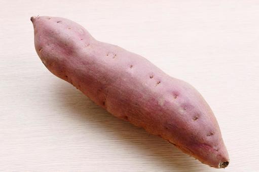 サツマイモ　五郎島金時　加賀野菜 さつまいも,加賀野菜,一本の写真素材