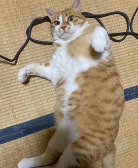 カメラ目線 カメラ目線の写真