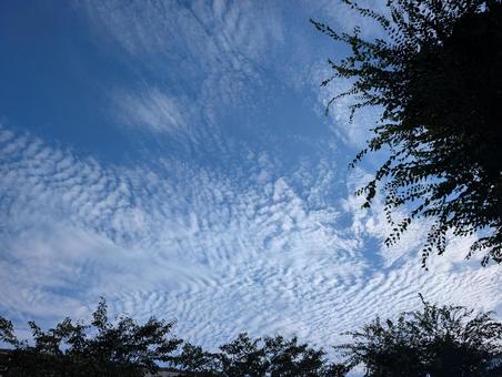 夏の終わりの空 夏の終わりの空 空,自然,風景の写真素材