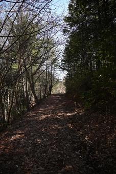 In the morning, we walk along a wide mountain trail, JPG In the morning, we walk along a wide mountain trail, JPG