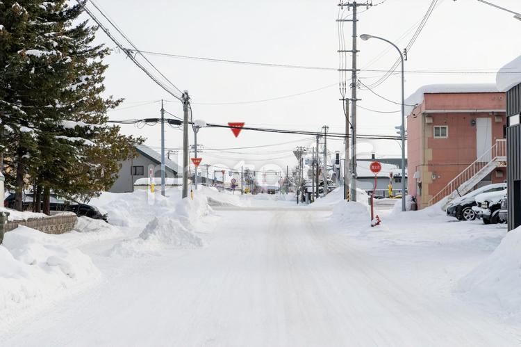 北海道　旭川　忠和　雪景色 日本,北海道,旭川の写真素材