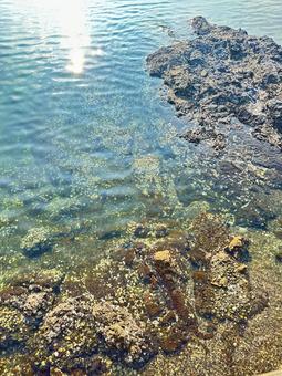 海岸 夏の海 磯 海岸 夏の海 磯 海,景色,岩の写真素材