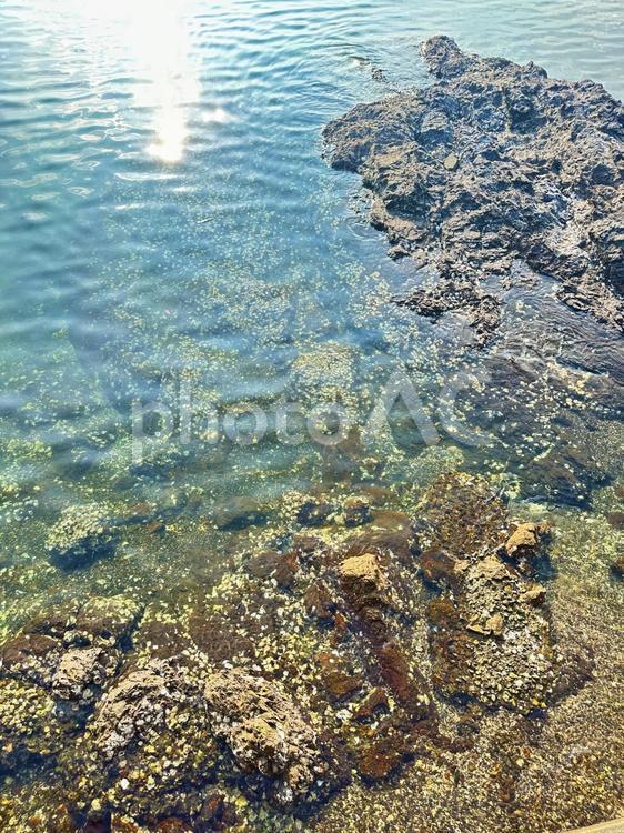 海岸　夏の海　磯 海,景色,岩の写真素材