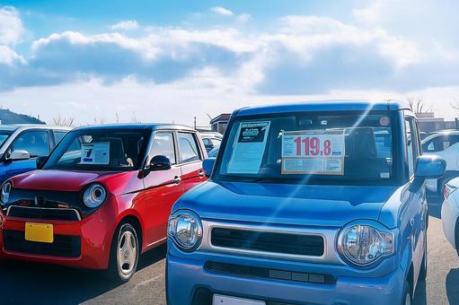 中古車販売ビジネスと展示会場3 中古車販売ビジネスと展示会場3の写真