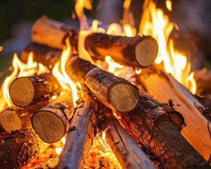 焚火をみる 焚火をみるの写真