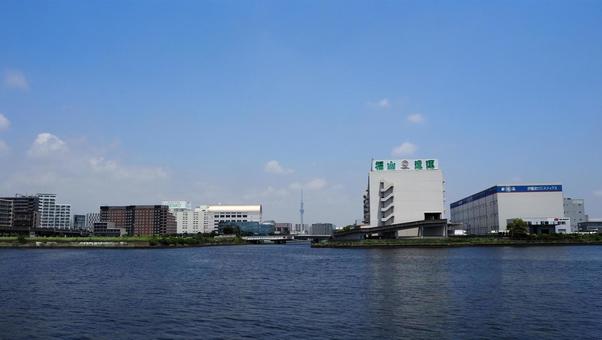 夢の島からの眺め・スカイツリー(江東区) 夢の島からの眺め・スカイツリー(江東区) 夏,夢の島公園,東京スカイツリーの写真素材