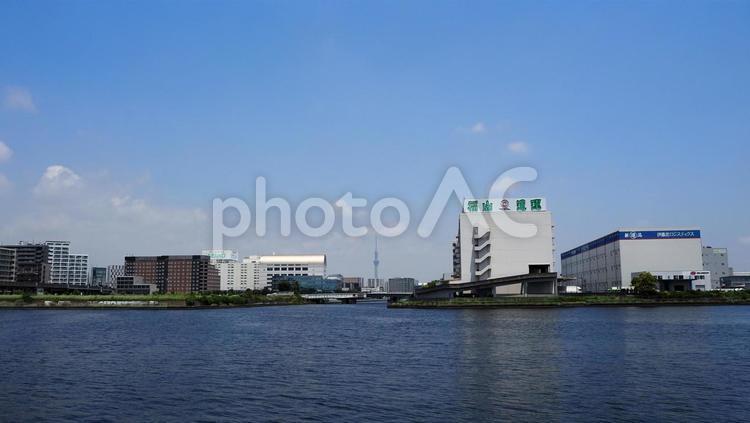 夢の島からの眺め・スカイツリー（江東区） 夏,夢の島公園,東京スカイツリーの写真素材