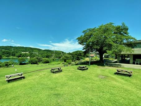 津久井湖城山公園 津久井湖城山公園 津久井湖,津久井湖城山公園,花の苑池の写真素材