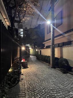 夜の神楽坂 夜の神楽坂 神楽坂,新宿,飯田橋の写真素材