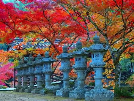 - [Autumn leaves photo] Autumn leaves at the temple, JPG