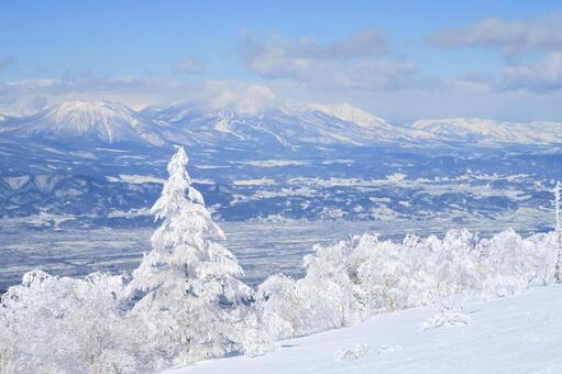樹氷の雪山の景色　妙高山、黒姫山、飯綱山 根子岳,冬,樹氷の写真素材
