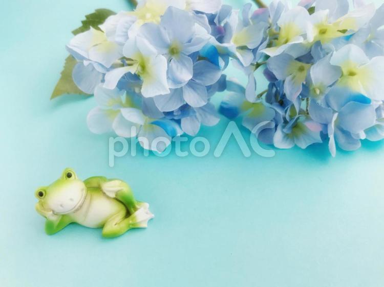 寝そべるカエルと紫陽花のイメージ かえる,カエル,蛙の写真素材
