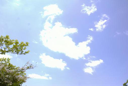 Photo, blauer himmel, leer, wolke, 