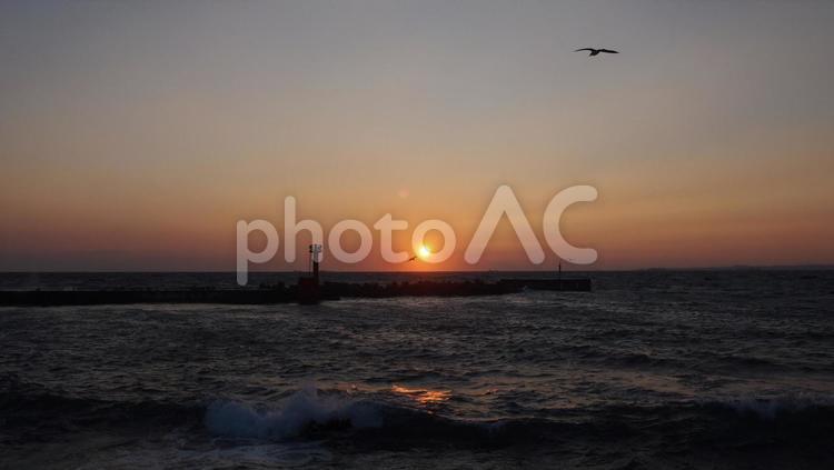 海辺の夕日 海辺の夕日,夕日,海の写真素材