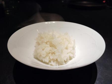 ライス ライス,ごはん,お米の写真素材