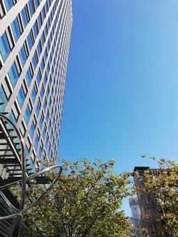 ビルと青空 ビルと青空 ビル,空,青空の写真素材