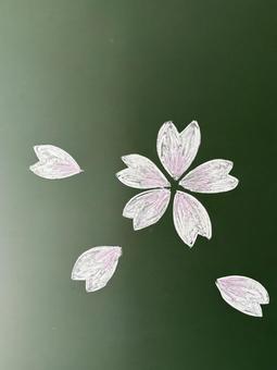 黒板に描いた桜の花 01 黒板に描いた桜の花 01 桜,サクラ,花の写真素材