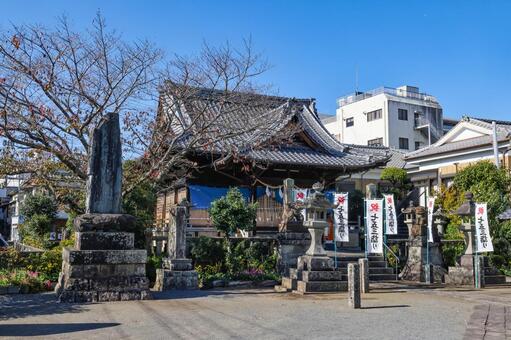 諫早八坂神社 八坂神社,諫早,神社の写真素材
