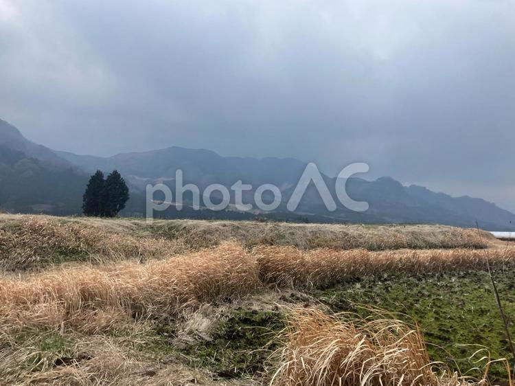田舎と陽だまり 田舎道,田舎,木の写真素材