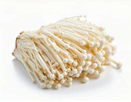 秋の味覚 えのき茸 きのこ 白背景 秋の味覚 えのき茸 きのこ 白背景の写真