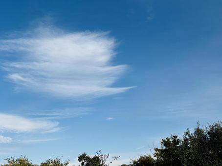 美しい白い雲と青空 空,青空,曇りの写真素材