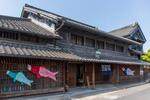 鯉のぼり 有松絞り 鯉のぼり,有松絞り,東海道の写真素材
