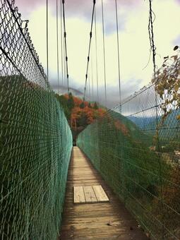 十津川村の吊り橋 吊り橋,十津川村,橋の写真素材