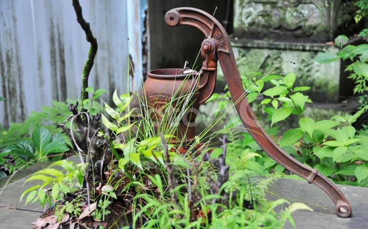 神社の境内の古井戸 古井戸,井戸,自然の写真素材
