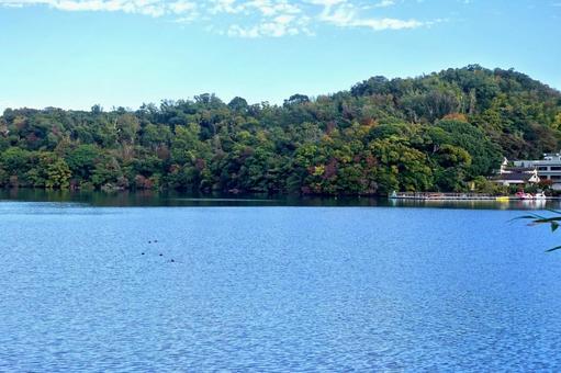 湖面を渡る初秋の風　一碧湖 湖面,初秋,さざ波の写真素材