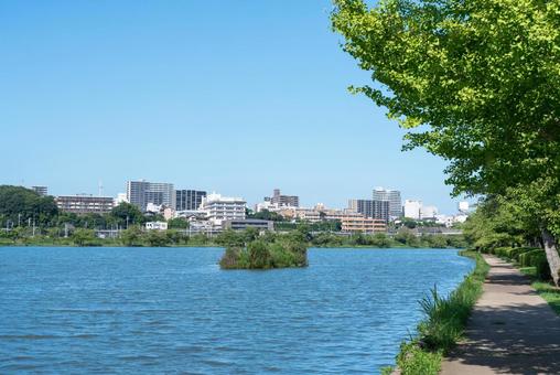 千波湖と市街地の風景(茨城県水戸市) 千波湖と市街地の風景(茨城県水戸市) 茨城県,水戸市,千波湖の写真素材