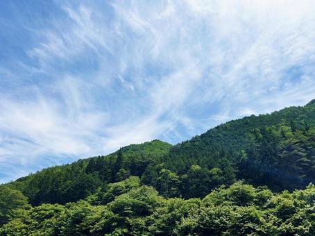 緑あふれる山の森林と穏やかな空模様 緑あふれる山の森林と穏やかな空模様の写真