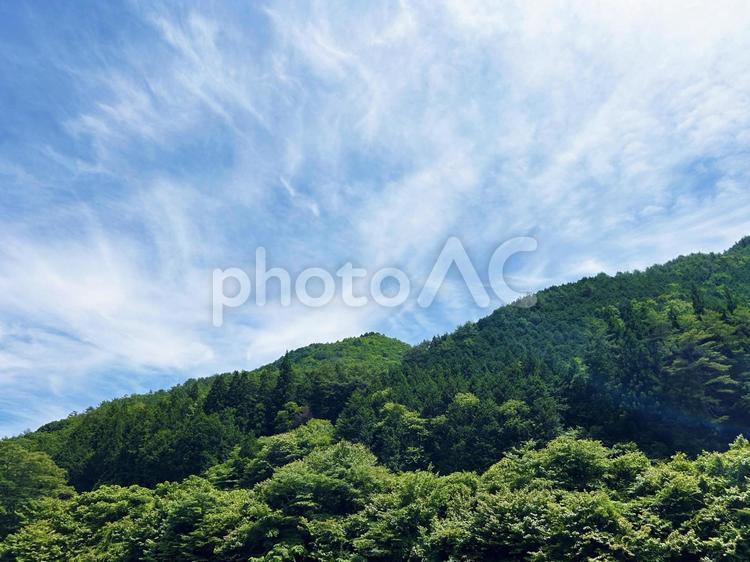 緑あふれる山の森林と穏やかな空模様 空模様,空,雲の写真素材