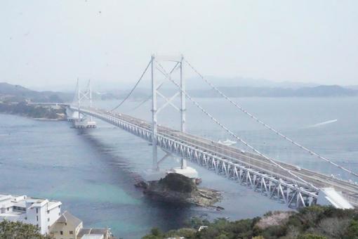 鳴門大橋 鳴門大橋,鳴門海峡,鳴門の写真素材