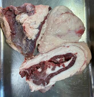 熊の油 熊の油,熊,野生の写真素材