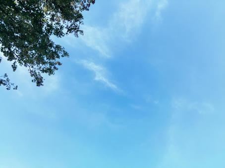 空 空の写真