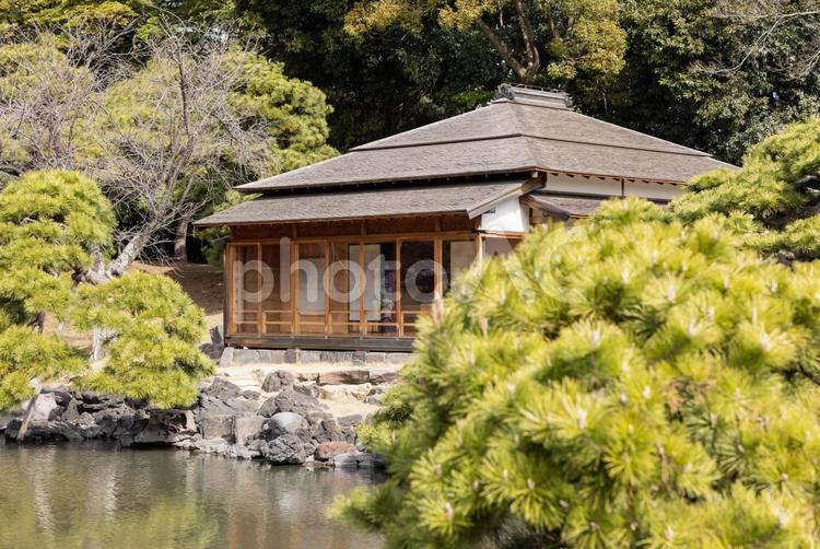 庭園の池の上の茶屋 日本庭園,庭園,茶屋の写真素材