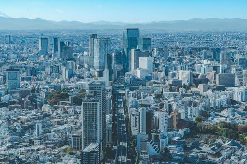 東京の街並み 東京の街並みの写真