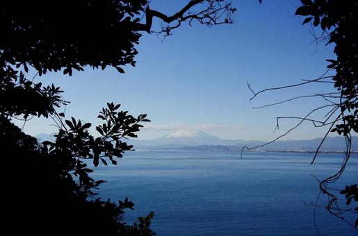 江の島からみた富士山 江の島からみた富士山の写真