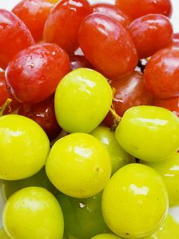 2色のぶどう ぶどう,グレープ,赤ぶどうの写真素材