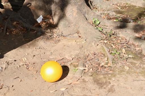公園の木の根元に迷い込んだボール 公園の木の根元に迷い込んだボール ボール,黄色,遊びの写真素材
