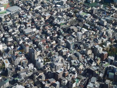 東京俯瞰 東京俯瞰の写真