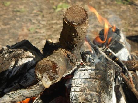 焚火70 焚火,焚き火,たきびの写真素材