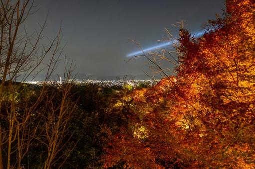 三重塔ライトアップと紅葉と京都タワー7 三重塔ライトアップと紅葉と京都タワー7の写真