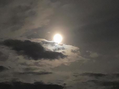 満月(横) 満月(横) 月,満月,夜空の写真素材