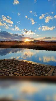 夕日 夕日の写真