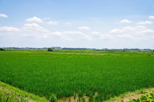 田園風景 田園風景 田園風景,田舎,田舎暮らしの写真素材