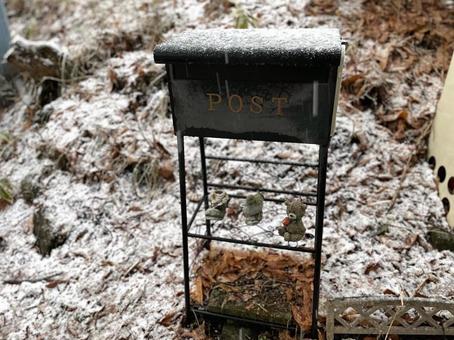 雪化粧 雪化粧の写真