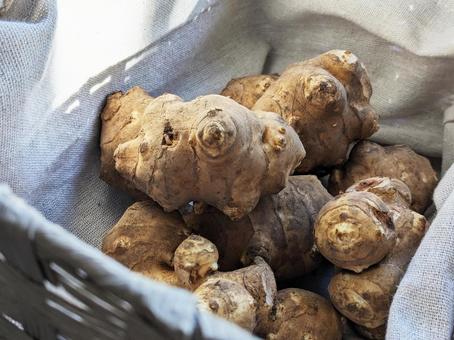 入れ物に入った菊芋 菊芋,きくいも,野菜の写真素材