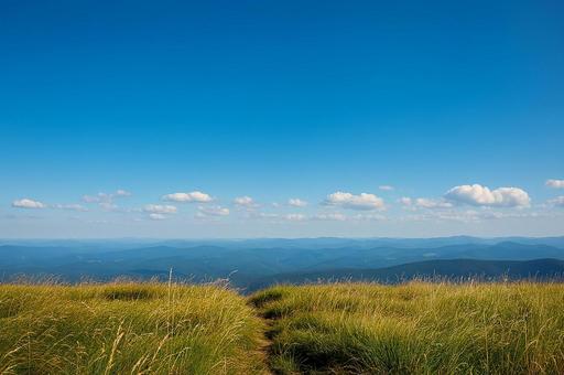 草原と山並みの遠景 草原と山並みの遠景の写真